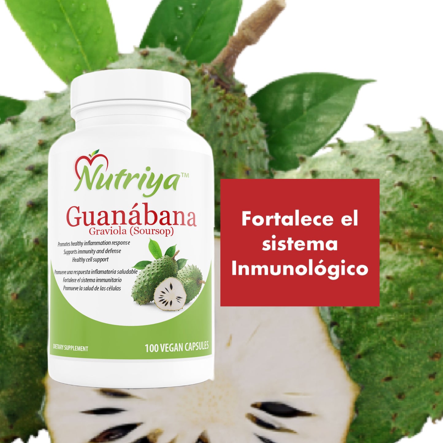 Guanábana (Graviola-Soursop)